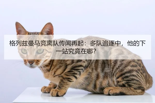 ge-lie-zi-man-ma-jing-li-dui-chuan-wen-zai-qi-duo-dui-zhui-zhu-zhong-ta-de-xia-yi-zhan-jiu-jing-zai-na-2-913.jpg